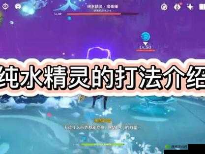原神攻略：全面解析纯水精灵各形态打法技巧