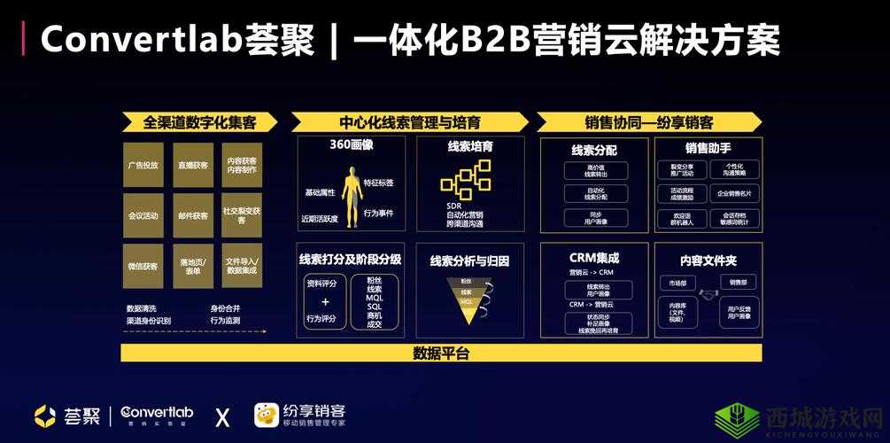 成免费 crm 特色 vip：开启数字化营销新纪元
