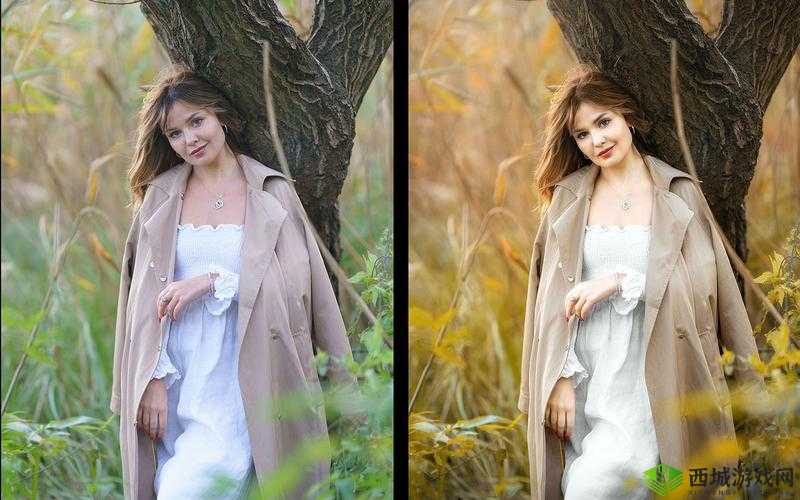 免费 PS 大片段视频调色：调出你的视觉盛宴