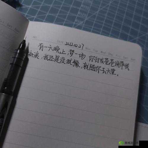 一晚上几次能喂饱你：合理回应探讨