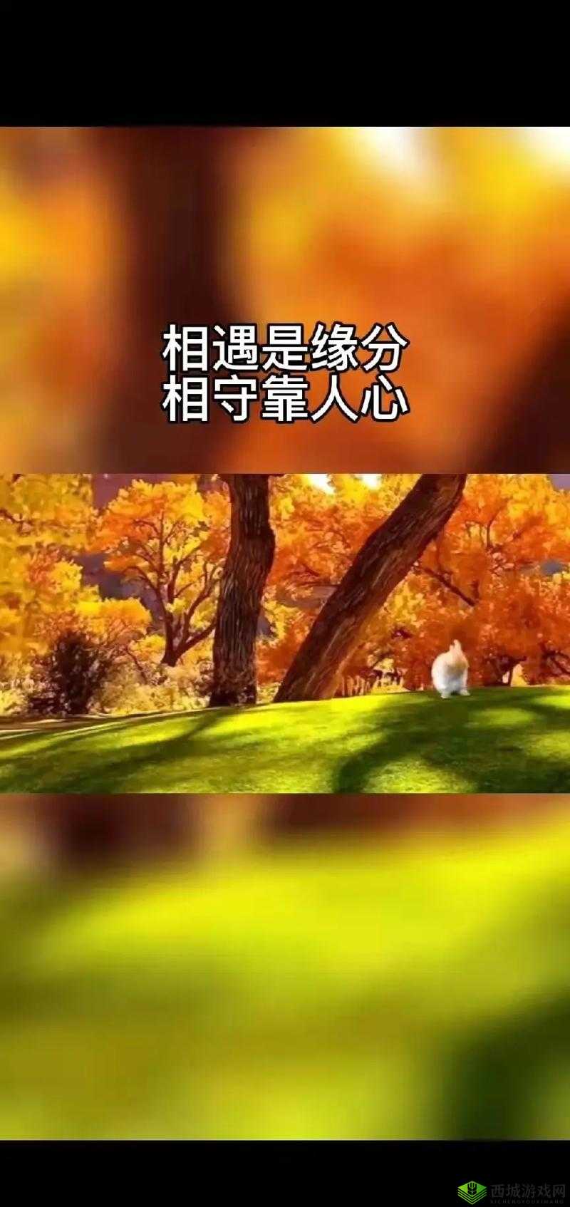 我们不合适 1v1 军婚：缘分散尽难相守