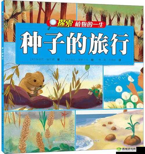 17.c-起草红桃国际：探索背后的故事