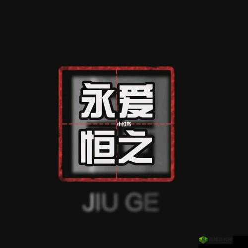 精品 999：你的品质之选