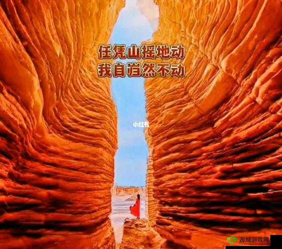 夹缝求生臣言：朝堂风云变幻，他如何抉择