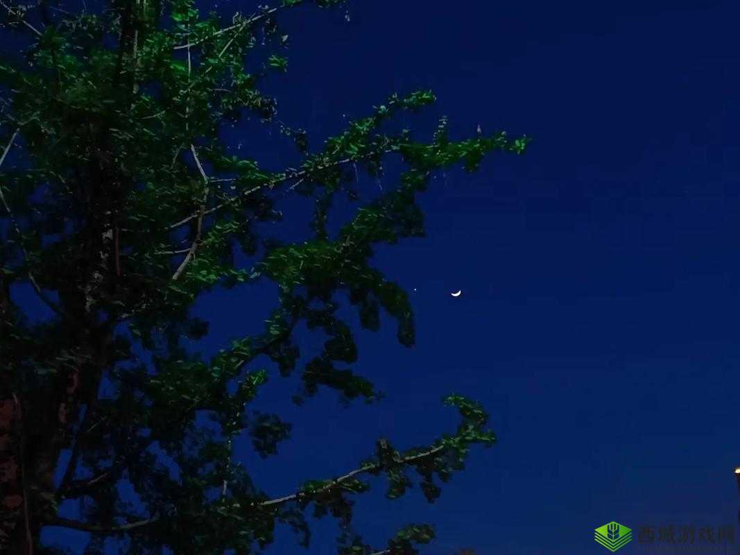 宝宝今晚不戴小雨伞了：我们一起去看星星月亮