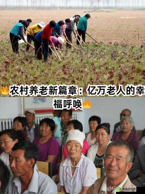 小树村人老人交易的好处：对社会稳定与发展的重要意义