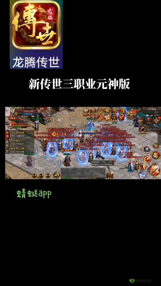 龙腾传世道士玩法深度解读，探索元神选择的艺术与策略