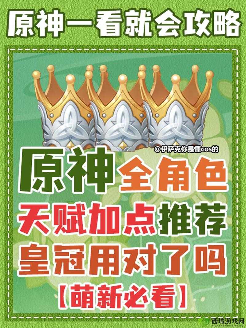 光影对决蕾拉角色深度解析与天赋加点全面攻略指南
