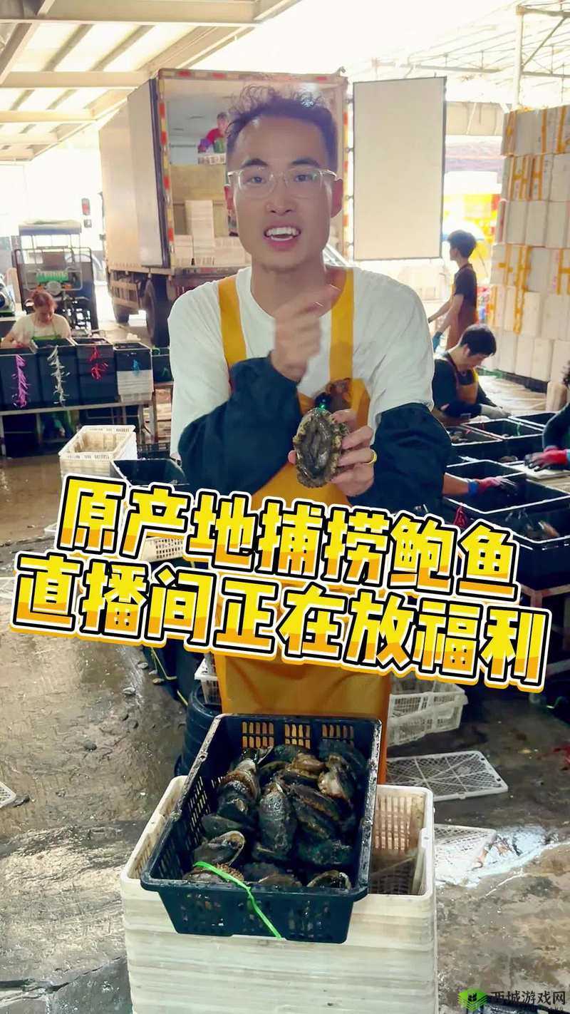 鲍鱼直播：引领美食直播新潮流