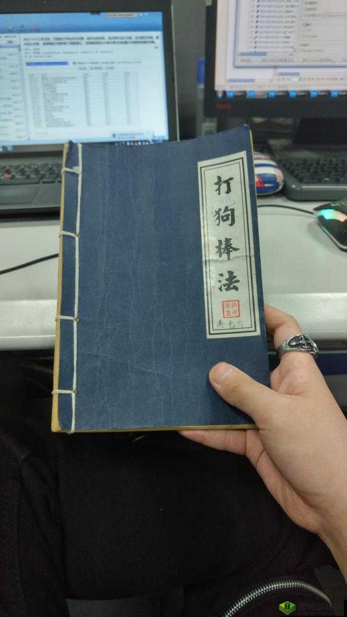 我的侠客中获取打狗棒法全攻略，打狗棒获得途径及资源管理优化策略